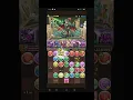 Knights Descended Nelle Kitty Planar - Puzzle And Dragons