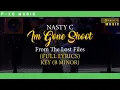 04. Nasty C - EP - I’m Gone Shoot (From Lost Files) - Video with full Lyrics