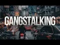 What is Gangstalking