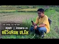 Download Lagu SASAK BESURUK ULEK- Sound Yang Lagi Viral Di Tiktok || Ngonek Ngonek Gamak Ariq Meleku Merarik Download Lagu SASAK BESURUK ULEK- Sound Yang Lagi Viral Di Tiktok || Ngonek Ngonek Gamak Ariq Meleku Merarik