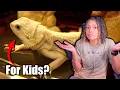 Are Bearded Dragons Bad Pets For Kids