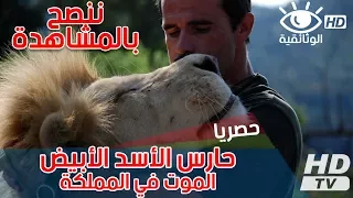 حارس الأسد الأبيض الموت في المملكة فيلم وثائقي HD 