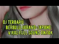 Lagu DJ TERBARU | BERBULU JARANG-JARANG       full sound tiktok 2021_VIRAL