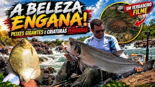 A BELEZA ENGANOU: ENTRAMOS NUM DOS RIOS MAIS SELVAGENS DA AMAZÔNIA