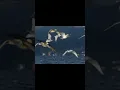 Eagle is Danger Super GOOGLE Top 12 Advanced Search Techniques