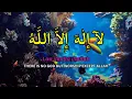 Download Lagu Dhikir LAILAHAILLALLAH Relieve Stress I LAILAHAILLALLAH I Dhikr at Night to Easily Sleep #229