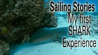 Cruising Stories:  My First Shark Experience