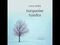 turquoise tundra - avery ashby