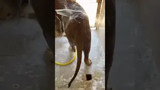 شاهد بسرعه
