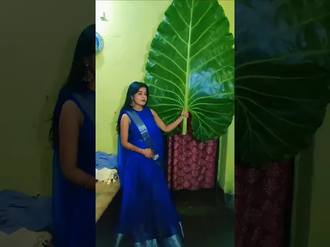 This sister did such a thing that it became a matter of discussion in the whole country.