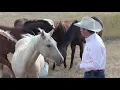 Understanding Herd Behavior