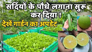 सर्दियों की गार्डनिंग शुरू हो गई! देखो मैंने क्या-क्या लगाया? गार्डन अपडेट और विंटर  गार्डनिंग टिप्स
