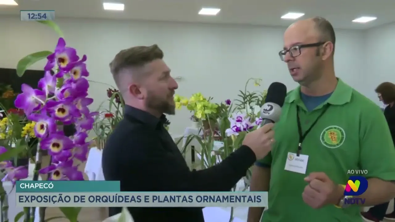 Chapecó recebe exposição de orquídeas e plantas ornamentais
