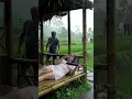 NIKMAT NYA YANG BESAR #comedy #cute #shortvideo #cutebaby #pengatinviral #celebration #viral