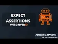 Expect Assertions - WebdriverIO Tutorial