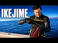 Ikejime For Beginners You ll Unlock The Best Tasting Fish