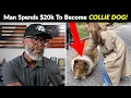 Japanese Man Spends 20k To Become BORDER COLLIE REACTION