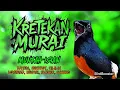 Download Lagu KRETEKAN MURAI BATU MUNTAH ISIAN | PANCING EMOSI + MASTERAN