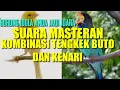 MASTERAN TENGKEK BUTO || VS KENARI | SUARA JERNIH || TERBARU || (2021).'