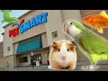 EXPLORING PETSMART ANIMAL FRIENDS EVERYWHERE