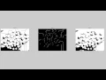 watershed algorithm