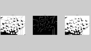 watershed algorithm