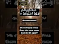 Download Lagu Surah Yaseen Ayat 31 #shorts #quran #mukhtar Al haaj