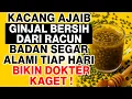 Lagu Ginjal ‘Berasap’ Akibat Pola Makan? Ini Cara Alami Bersihinnya dengan Kacang Hijau!