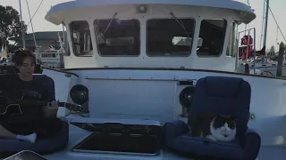 Gilligan The Fat Boat Cat