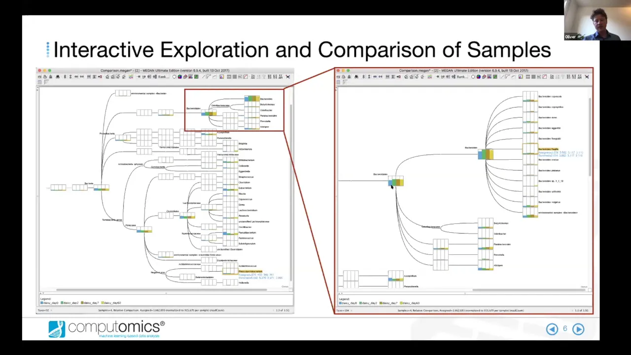 Interactive and Reproducible Metagenomics Data Analysis with MEGAN6 UE and MORPHEUS