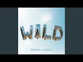 Download Lagu WILD