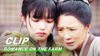 lian maner wants to jump into a well and refuses to marry romance on the farm ep01 iqiyi