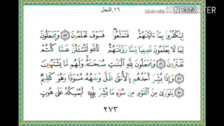 سورة النحل من آية ٥٥ إلى آية ٦٤ للقارئ ياسر الدوسري 