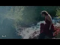 Phil Thornton × Forest Moon ( Relaxing, soothing music)