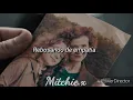 Mother - Kacey Musgraves // Sub. Español