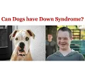 Symptoms of Down Syndrome in Dogs Puppies