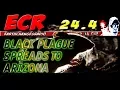 ECR 24 4 - Arizona now has Black Plague