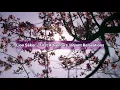 Music for Sleeping Dreams || Lion Seker First Adventure Ryant Relaxatacions || @RyantAR
