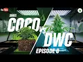 Coco vs DWC Episode 6 HARVEST DAY