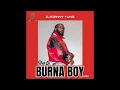 Download Lagu DJ Danny Yung Best of Burna Boy Vibe With Odogwu Mixtape[www.mixtapes.ng]