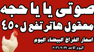 اسعار الفراخ البيضاء اليوم سعر الفراخ البيضاء اليوم الاحد ٢٧ ٩ ٢٠٢٦ في المحلات في مصر  دندنها