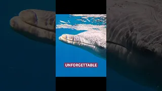 UNFORGETTABLE