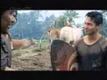 Globaltv Djarum Super (Karapan Sapi)
