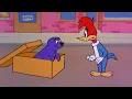 Download Lagu Pica-Pau Faz um Novo Amigo | Pica-Pau em Português