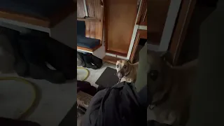 You kids get off my lawn! #liveaboardlife #nature #pnw