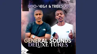 nkulee feat tribesoul main mix 