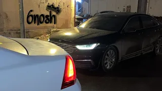                                        دندنها