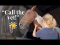Emergency Vet Call For Laraghlee