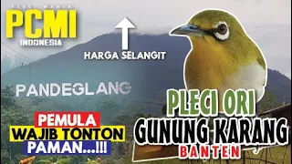 characteristics of the original gunung karang pleci direct from cidahu banten 2021