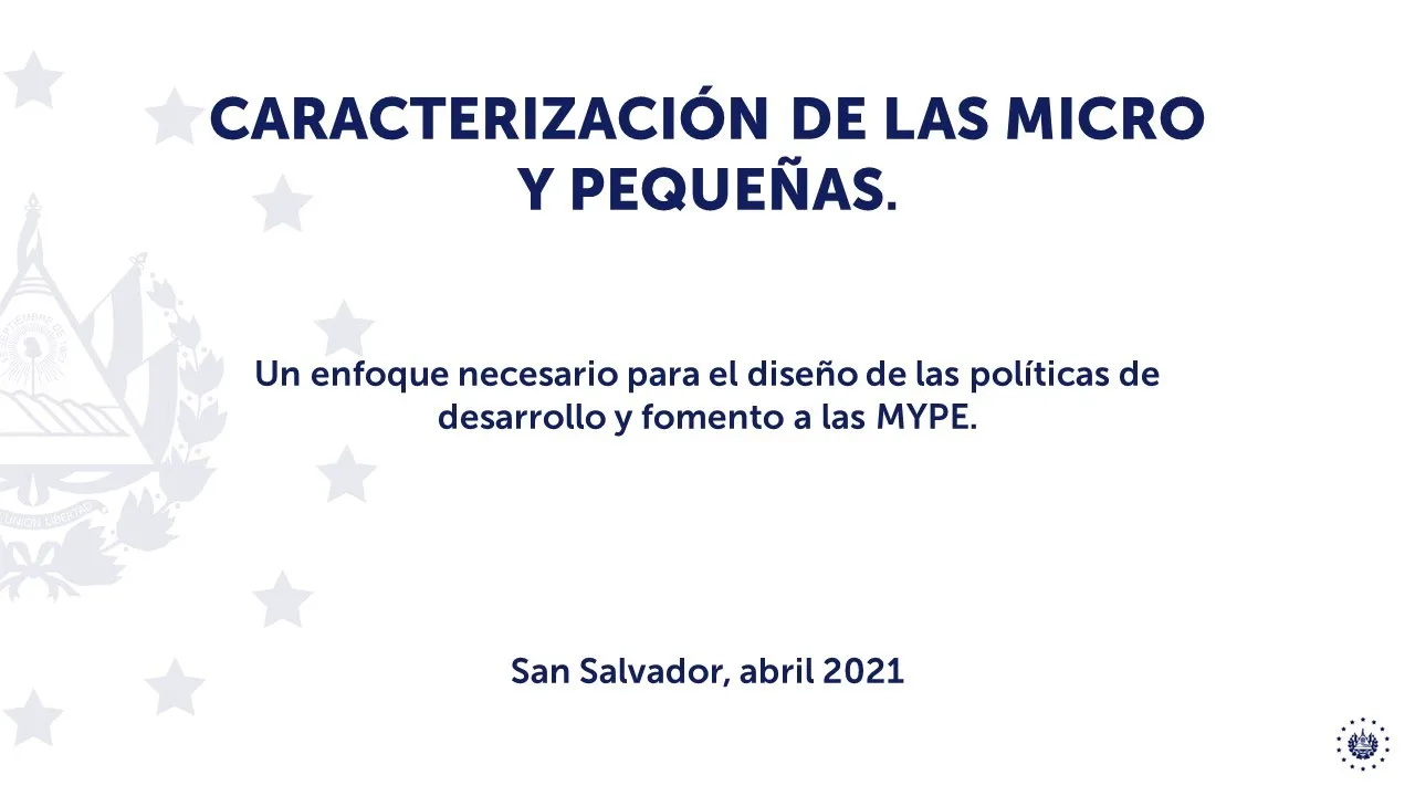 ¿Cómo caracterizar a la micro y pequeña empresa?